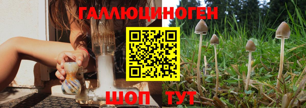 Псилоцибиновые грибы Cubensis Острогожск